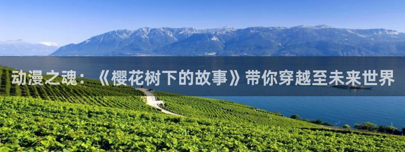 火狼动漫旧版官网入口